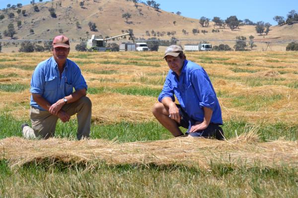 Steven Finlay (left) and Andrew Landale from Holbrook are impressed with the new summer active Hummer tall fescue